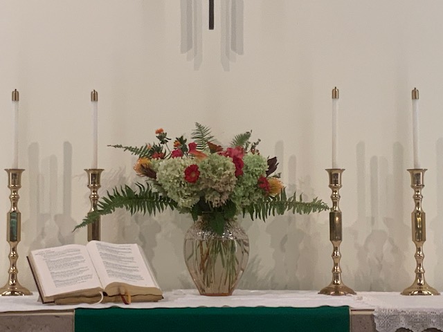 IMG 0255 (2)